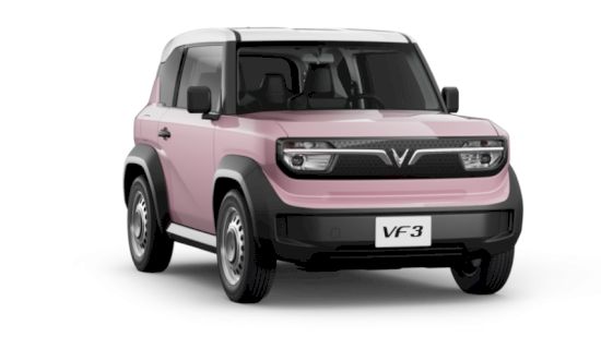 Rose Pink Body - Infinity Blanc Roof